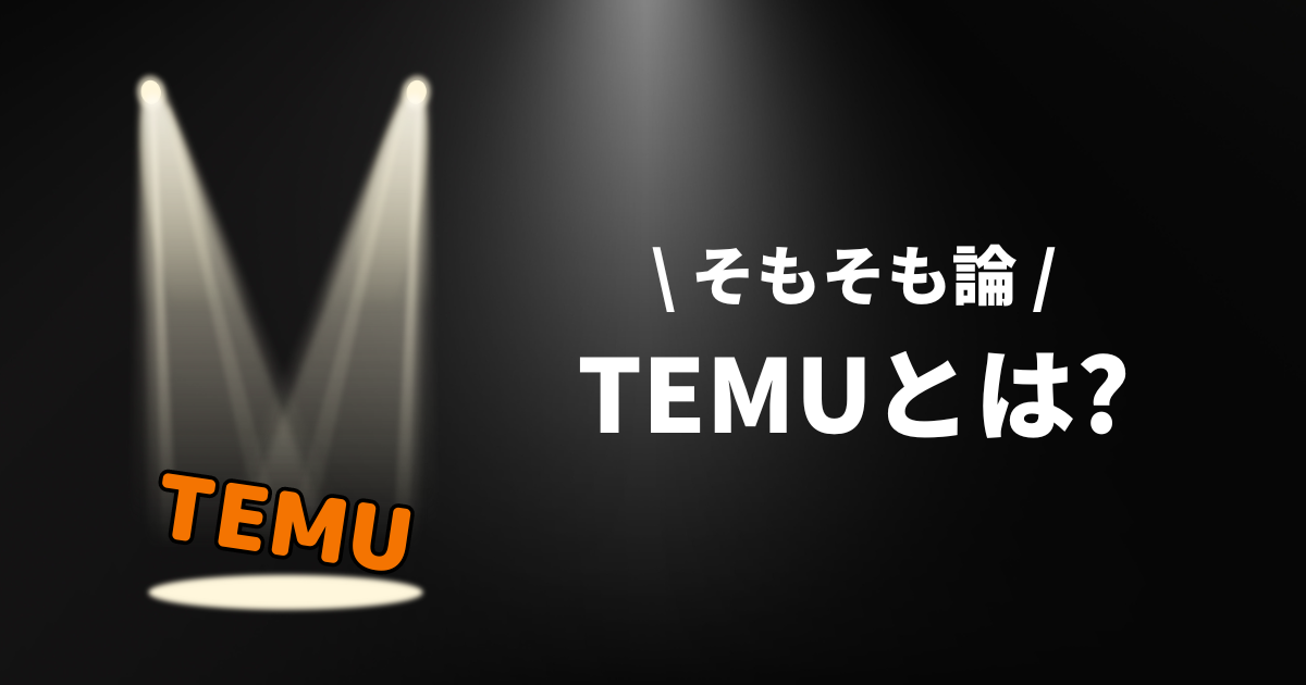 TEMUとは_テムとは_ティームーとは